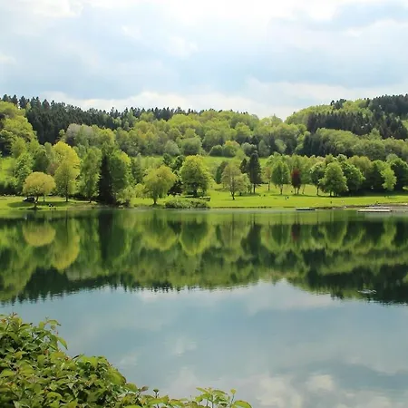 Am Groelisbach - Eifel Roetgen
