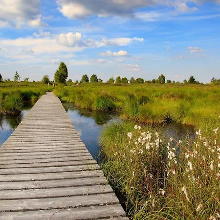 Am Groelisbach - Eifel