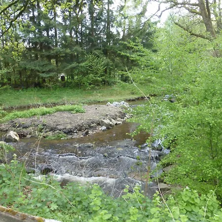 Am Groelisbach - Eifel Roetgen