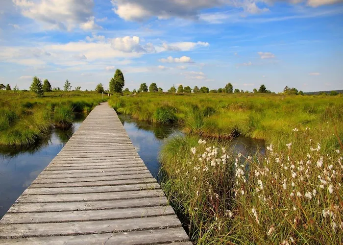 Am Groelisbach - Eifel