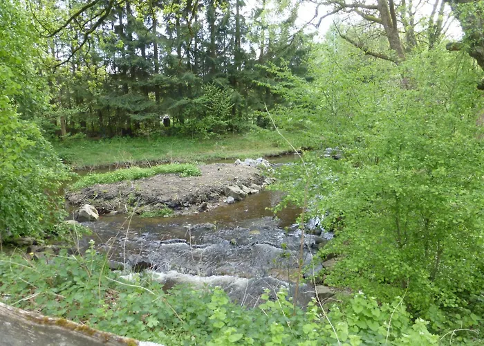 Am Groelisbach - Eifel Roetgen